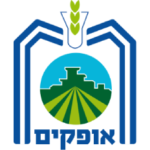 מיזם חדש (44)